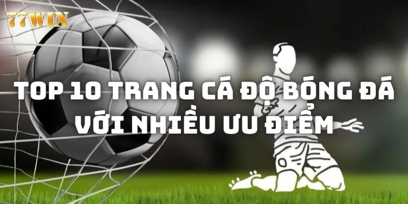 Top 10 trang cá độ bóng đá có nhiều ưu điểm nổi bật